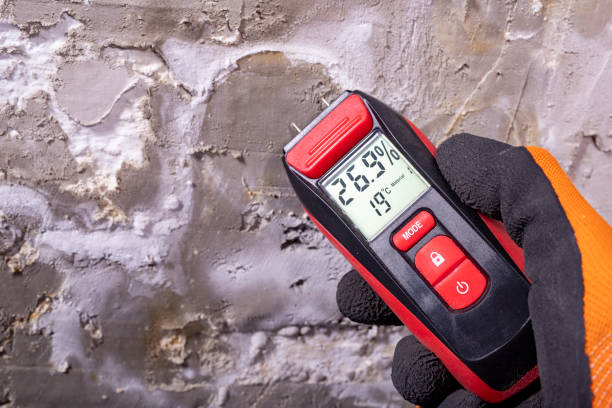 Best Office Mold Removal Services  in Parkersburg, WV