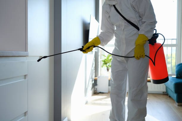 Best Best Mold Removal Companies  in Parkersburg, WV