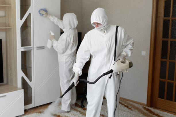 Best Mold Cleaning Services  in Parkersburg, WV